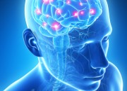 Settimana del cervello, Sin: “Promuovere l’alleanza tra clinici e ricercatori”