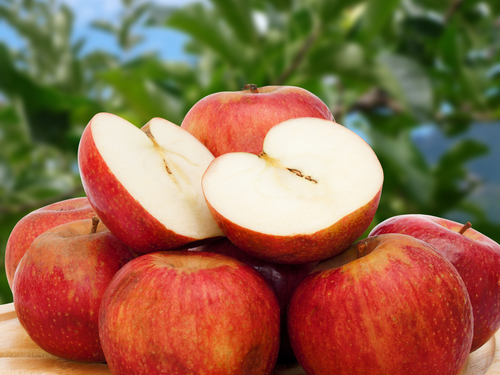 Mele Annurche: uno scudo contro il colesterolo cattivo