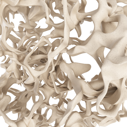 La nutrizione gioca un ruolo fondamentale sulla salute dell’osso