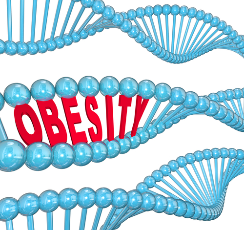 Obesità. Scenziato italiano scopre gene che favorisce l’eccesso di peso