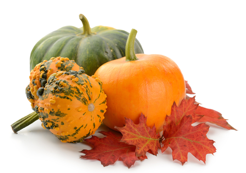 Autunno in arrivo: proteggersi con l’alimentazione