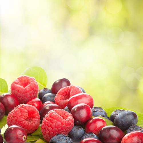 Dalla frutta le armi per combattere Alzheimer e Parkinson