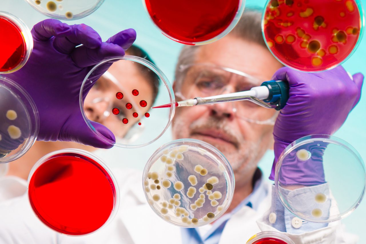 Diabete e staminali: la cura di domani