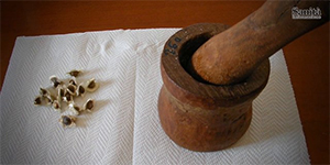 Eritrea, l’emergenza acqua si combatte con i semi di Moringa