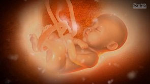 Fecondazione eterologa: grazie a un decreto entrerà nei Lea e nei centri pubblici