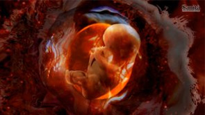 Fecondazione eterologa, basta scuse: stavolta si parte sul serio