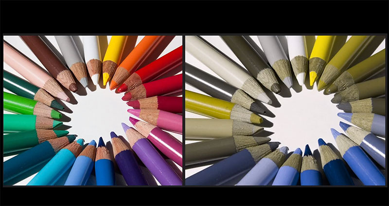 Daltonismo, ne soffre quasi un maschio su 10: “La diagnosi con un gioco da tavolo”