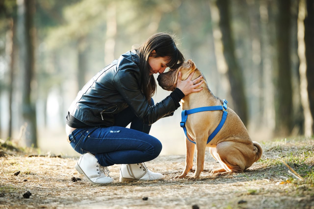 Animali domestici e diabete: anche loro possono aiutarci