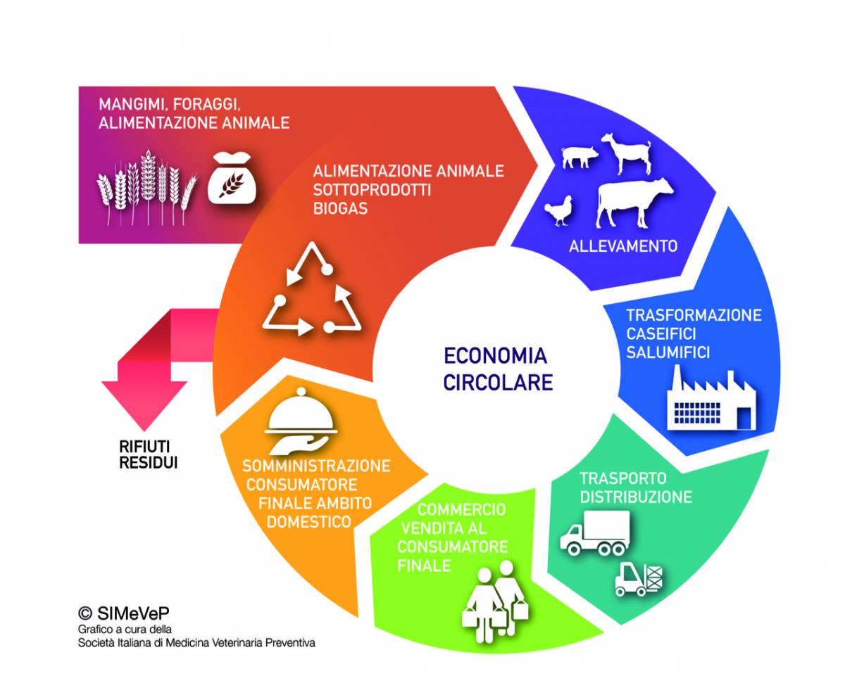 Spreco alimentare come risorsa, il paradosso illuminato dell'economia circolare - Sanità  Informazione