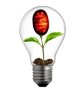 Malattie mitocondriali, a Milano il Convegno nazionale. Medici, pazienti e famiglie a confronto