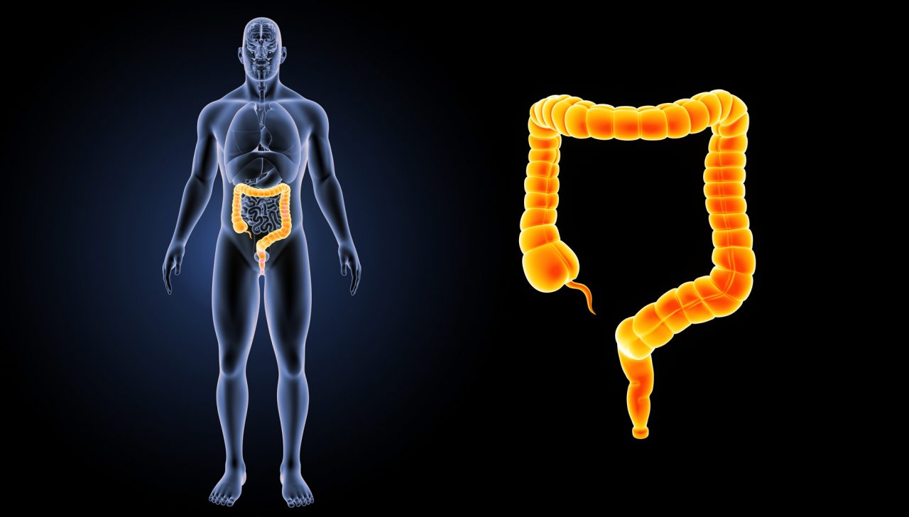 Iperglicemia postprandiale: una risposta nell’intestino