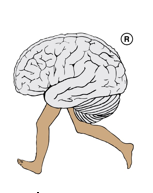 Istat, per l’Umbria record di longevità: 162 ultra 90enni ogni 10mila abitanti. Il primato alla Liguria