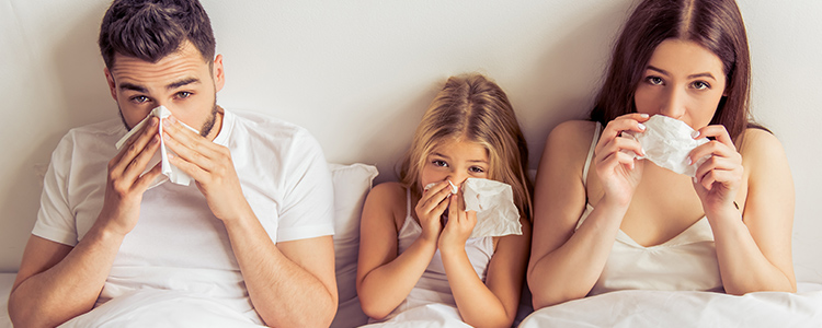 Influenza, Simg: “Casi in aumento. Il picco arriverà prima di Natale”
