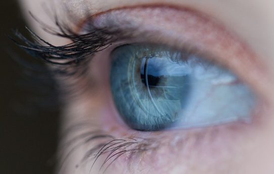 Oculomica, con l’AI l’occhio diventa lo “specchio” della salute dell’intero organismo