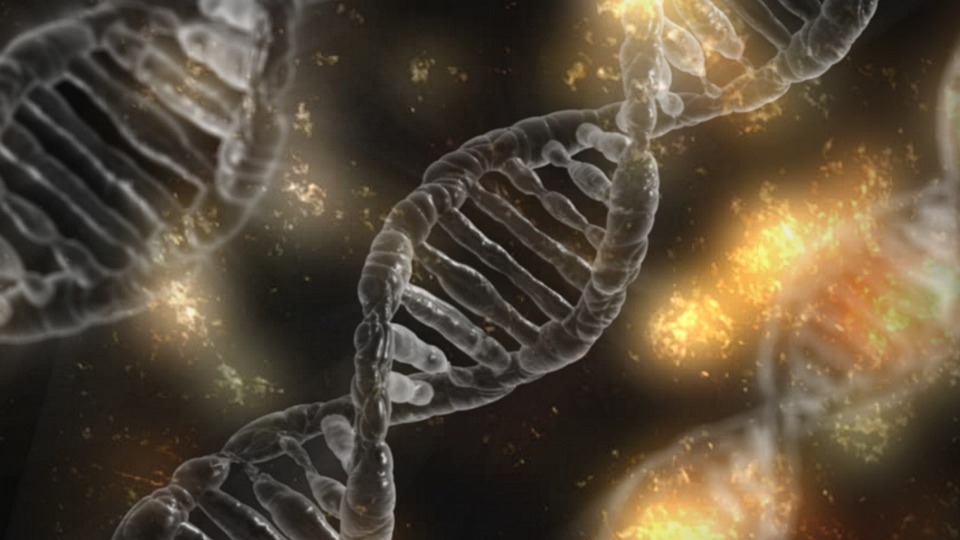 Sclerosi multipla, la mutazione genetica che la scatena varia a seconda dell’etnia del paziente