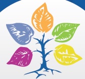 Aaiito e Federasma allergie lanciano la petizione: «Una firma contro asma e allergie»