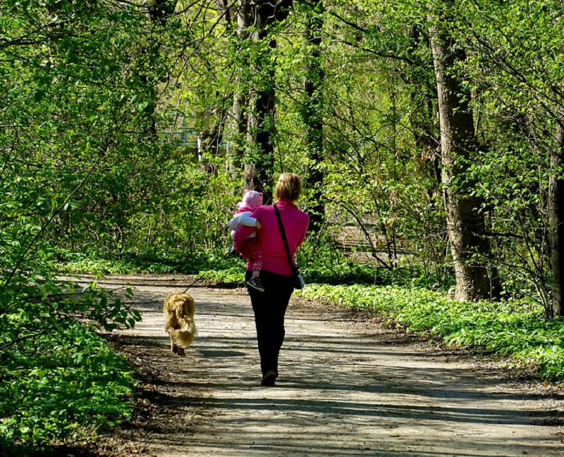 Roma, XIII Municipio: Servier Italia inaugura Area Verde riqualificata