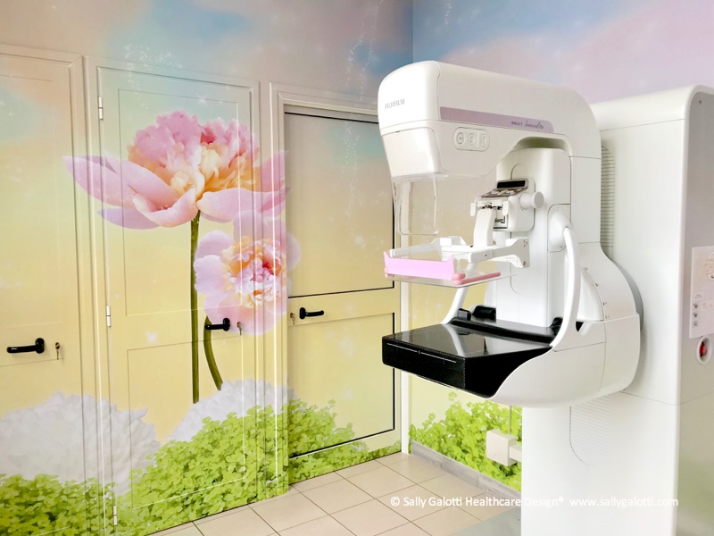 Umanizzare con la pittura, Armonia Onlus: «A Piacenza la paziente oncologica è un ‘petalo di rosa’…»