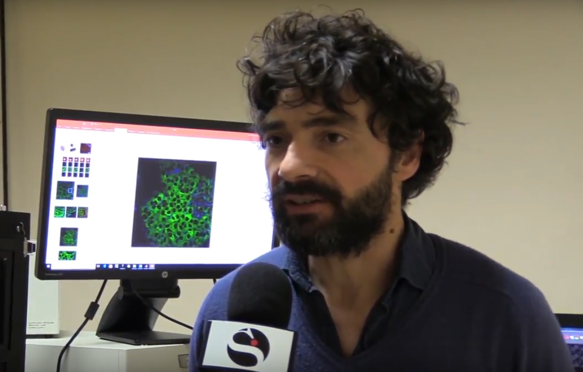 Obesità, diabete e malattie metaboliche: arriva la macchina che mappa i grassi ed è made in Italy