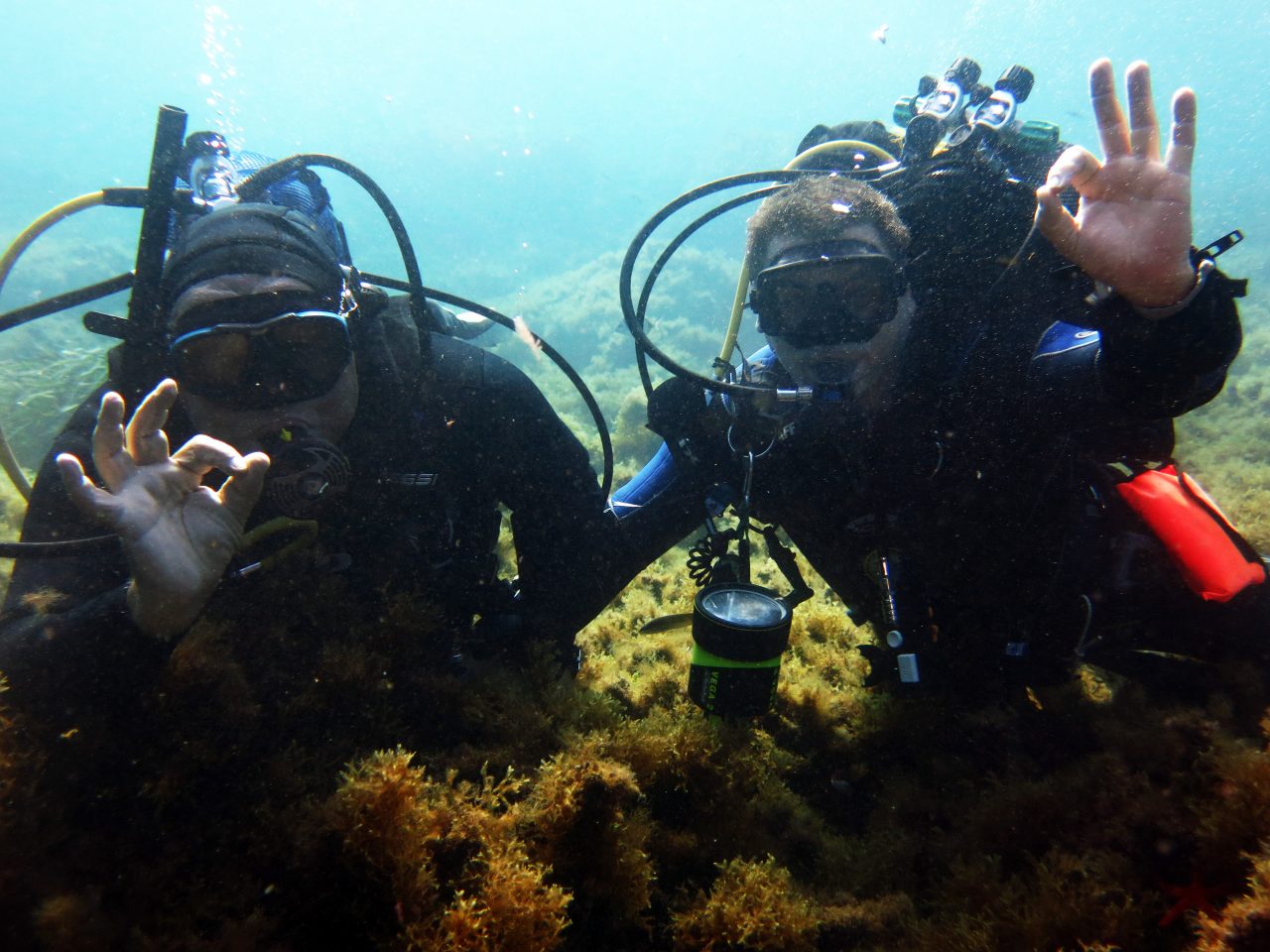 Diabete sott’acqua: immersioni in sicurezza con “Diabete sommerso”