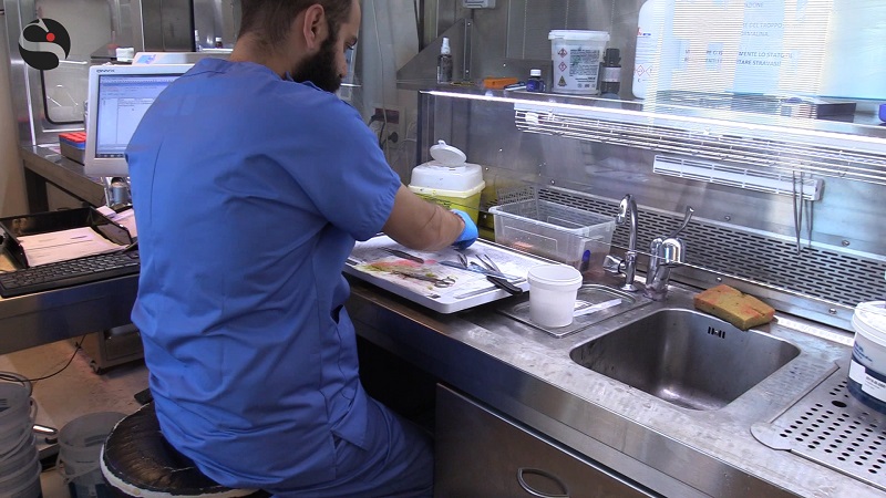 Anatomia Patologica, viaggio nel laboratorio dove si scoprono i tumori. Virgili (Campus Bio-Medico): «Sanità digitale e I.A. il futuro»