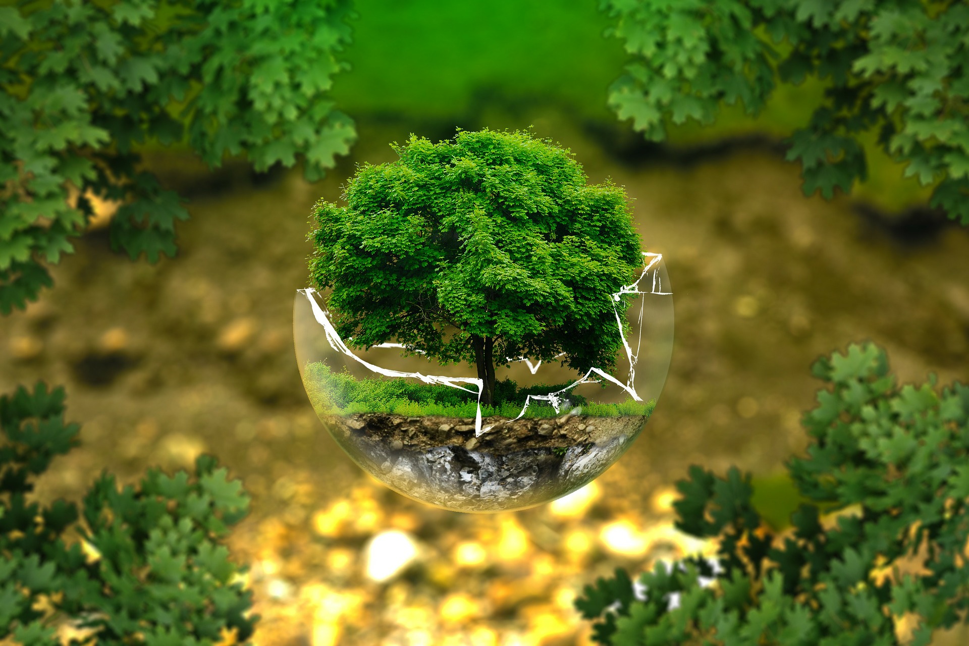 Overshoot day 2023: l’Italia ha finito le sue risorse naturali annuali il 15 maggio