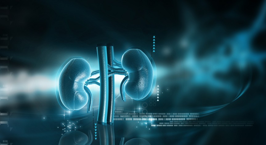 Nefropatia diabetica: per combatterla un’alleanza tra specialisti