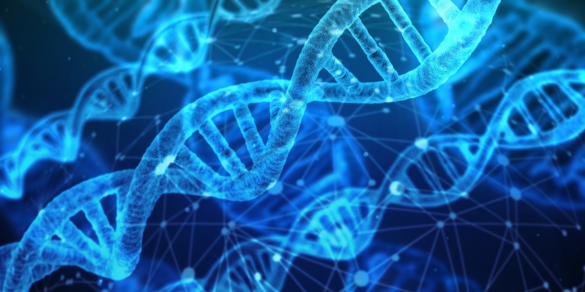 Dna: “Ecco come si mescola al momento del concepimento, svelata la mappa”