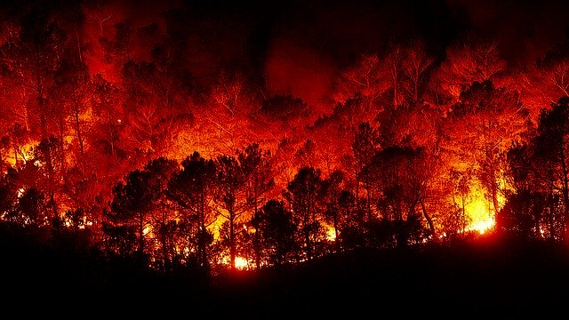Incendi Australia, i rischi per i residenti (tra i più asmatici al mondo). L’esperto: «In aria sostanze cancerogene e polveri sottili»