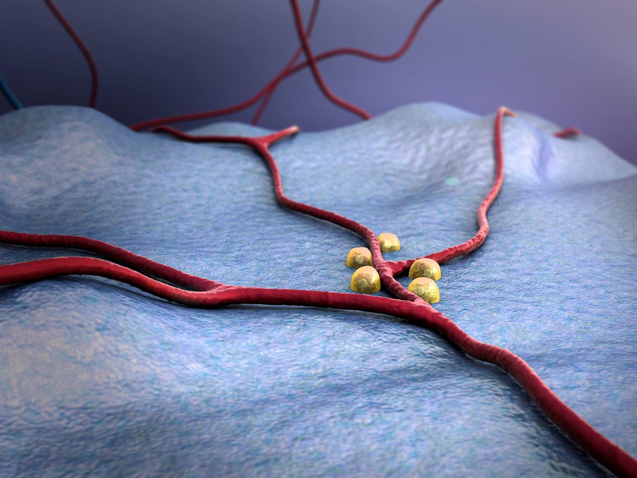 Cellule beta pancreatiche: al centro della ricerca sul diabete