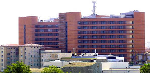 Patente immunità, Nicora (dg San Matteo): «Probabile che chi ha anticorpi sia immune al Covid-19. Presto sapremo per quanto tempo»