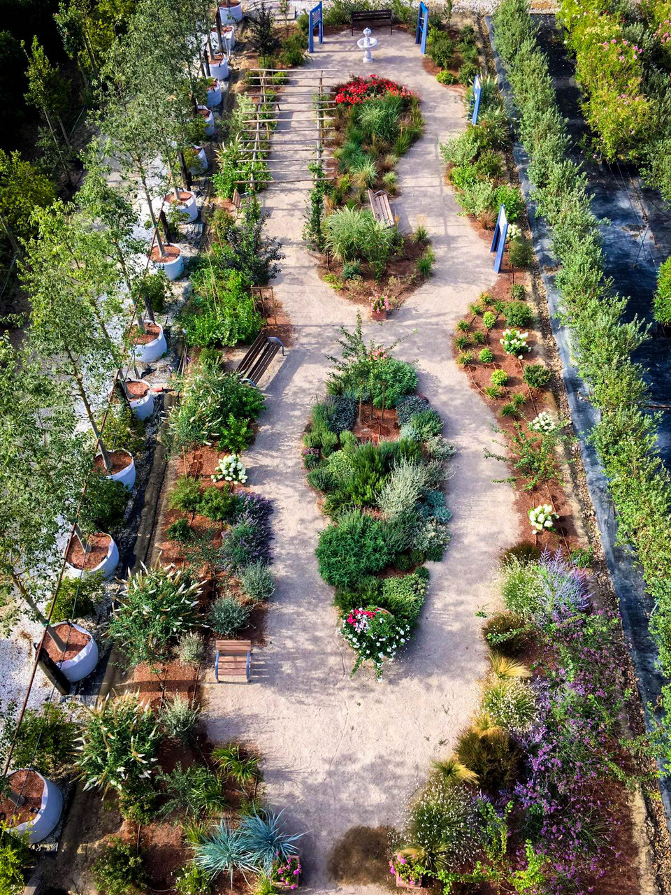 Dalla riduzione dei farmaci al reinserimento lavorativo: ecco come curare ansia e disturbi cognitivi con il verde