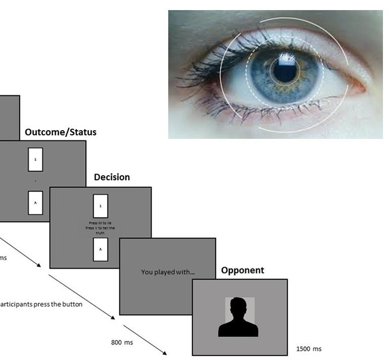 Te lo leggo negli occhi! Come stimoli politici influenzano la decisione di mentire agli altri