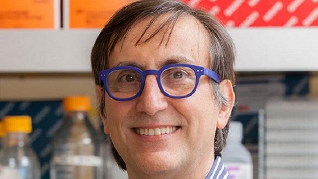 E se il nuovo coronavirus non fosse così nuovo?