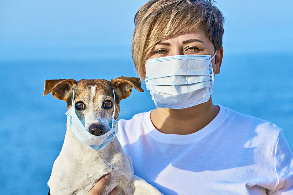 Covid-19 e animali domestici, cosa c’è da sapere?