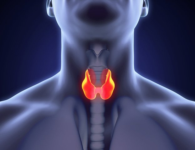 Settimana mondiale della tiroide, focus su familiarità e genetica