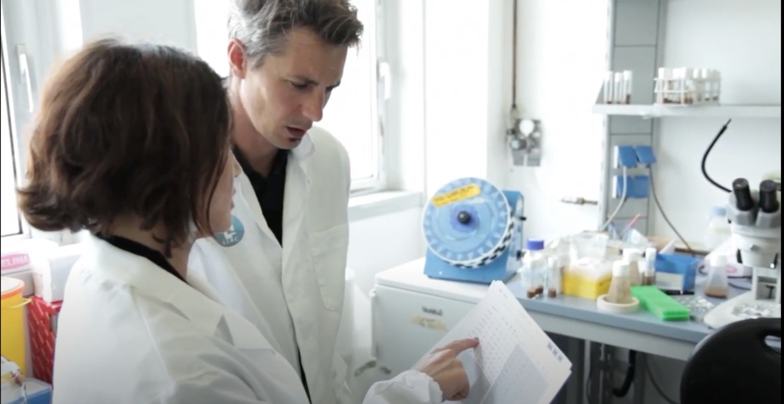 Gliomi, compreso il meccanismo di crescita grazie al moscerino della frutta