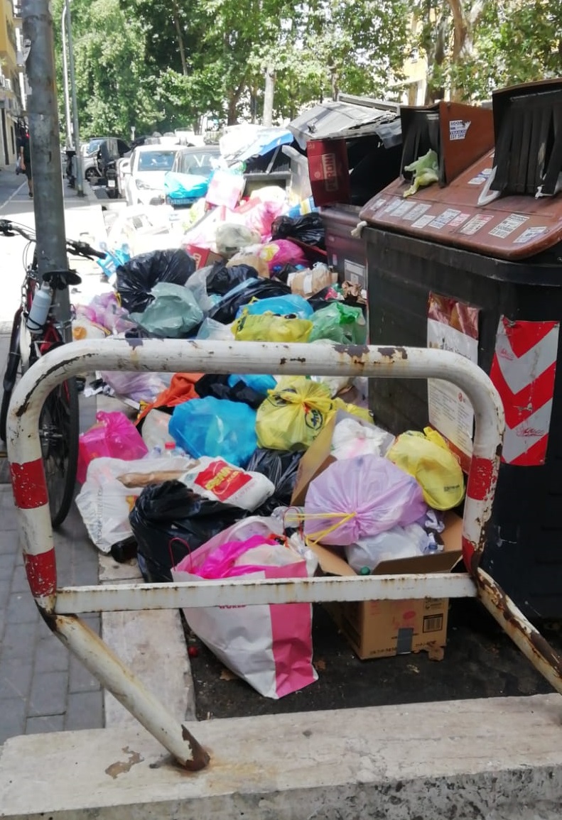 Rifiuti a Roma, Magi (OMCeO): «Si verifichino rischi». L’igienista Fara: «Attenzione agli animali e ai roghi»