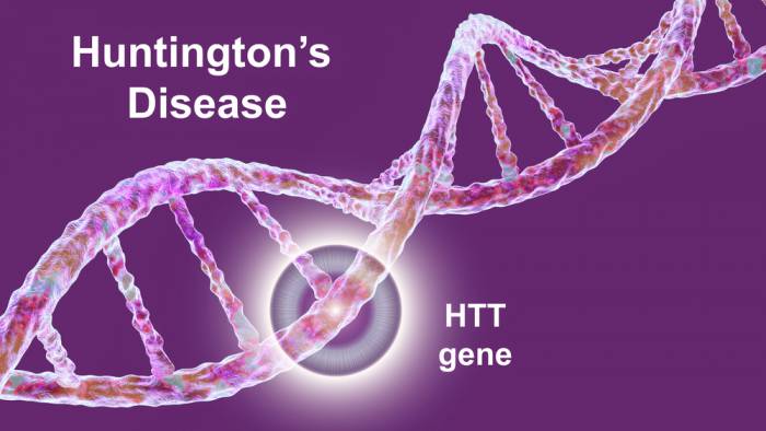 Diventare genitori con una malattia genetica, a Padova incontro con gli esperti di PMA sulla malattia di Huntington