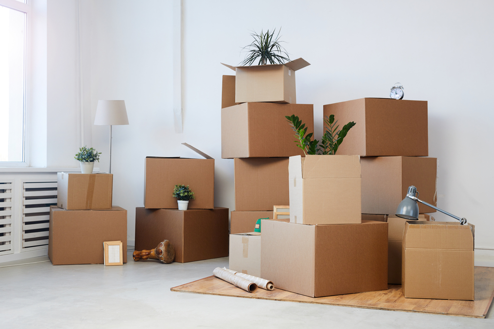 Il decluttering e i suoi benefici: ecco come riordinare può far “decollare” la nostra vita