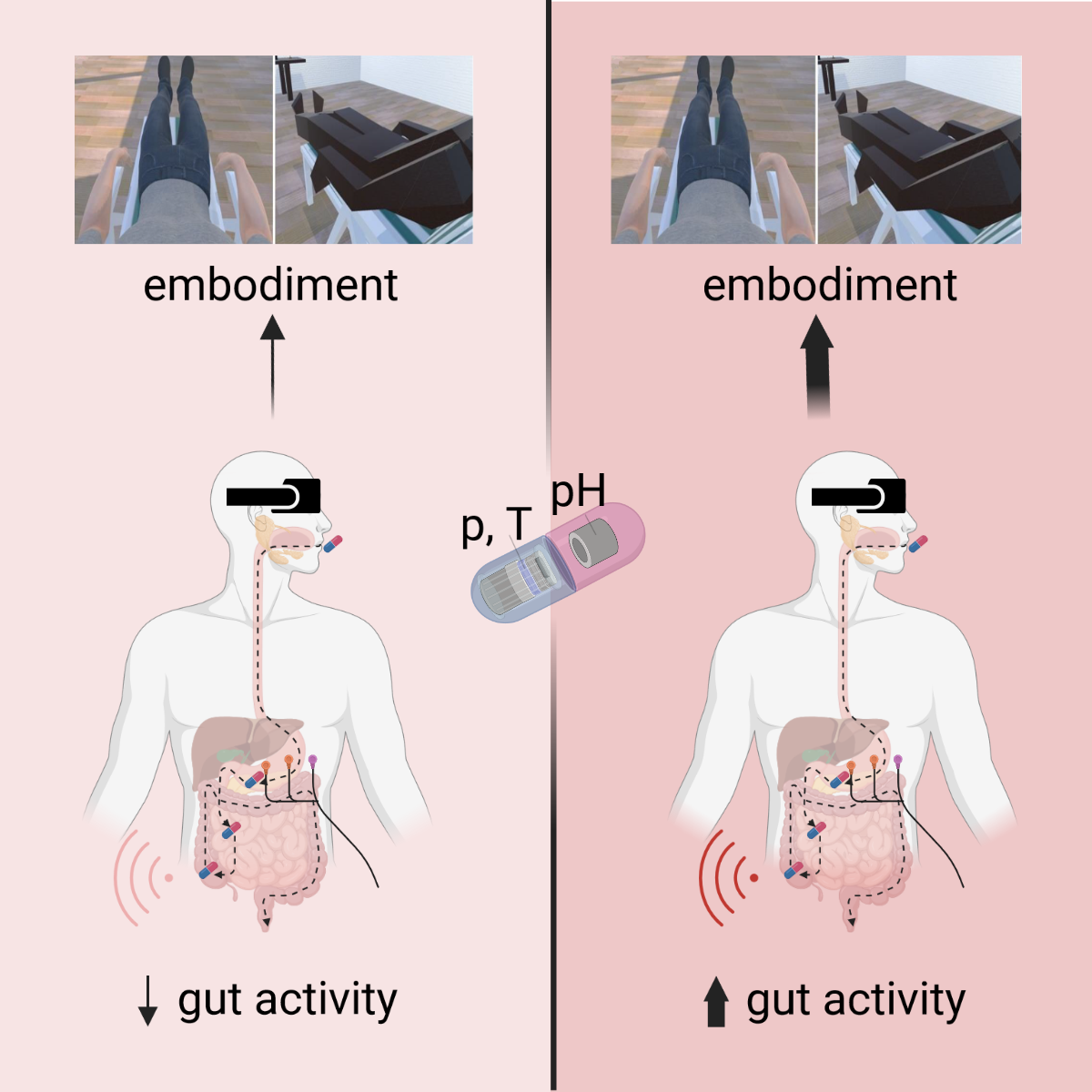 «Ho le farfalle nello stomaco» non è solo una metafora: ce lo dicono le pillole furbe