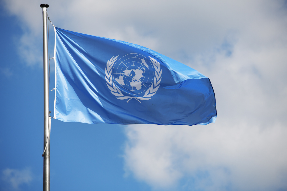 Il Pronking, Cristina Cucchiarelli, Tuttodiabete e l’Onu