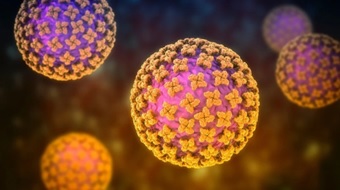 Kiwira virus: rilevato in Africa un nuovo hantavirus trasmesso dai pipistrelli