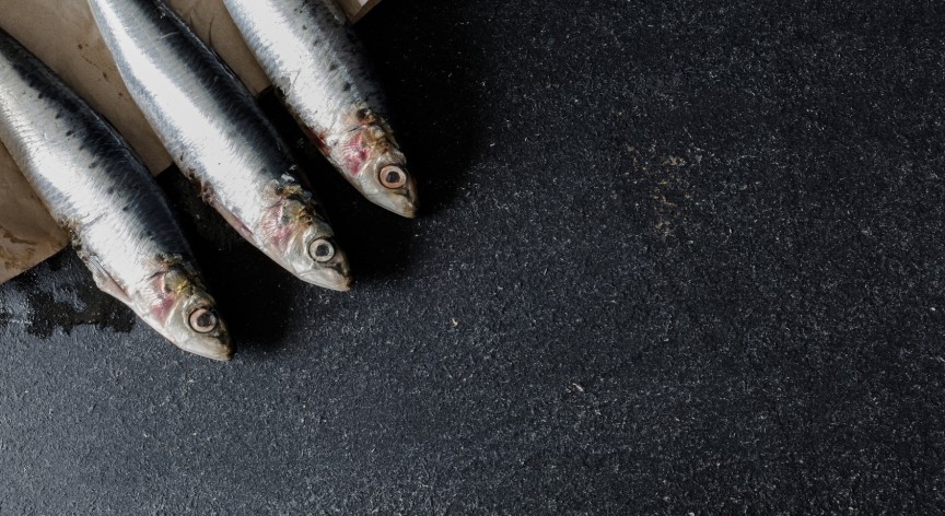 Tortiera di sardelle al forno, con tanti Omega-3
