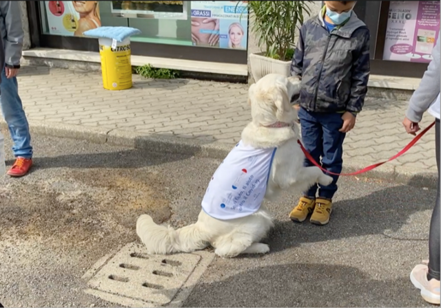 Covid-19, i cani sono in grado di  riconoscere chi è positivo al virus anche all’aperto