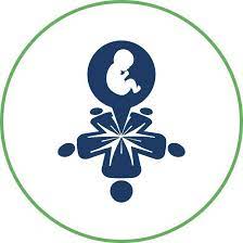 Infertilità, alleanza FIMMG-SIRU per promuovere prevenzione e diagnosi precoce