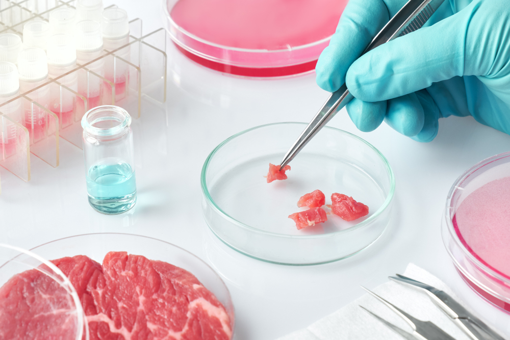 Carne artificiale, quali sono i pro e i contro per la salute?