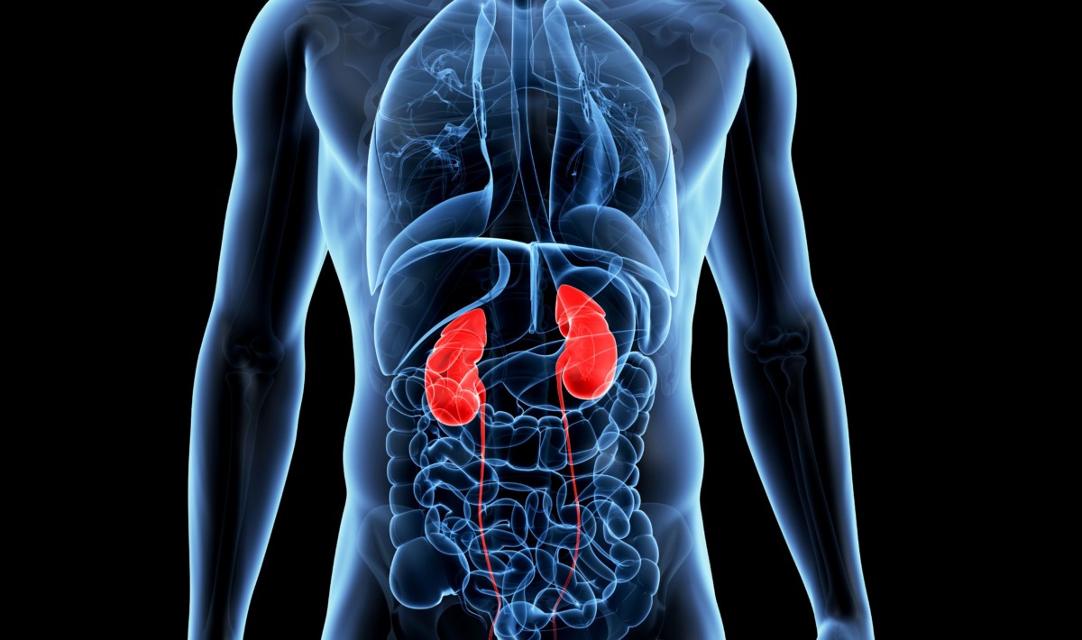 Malattia renale cronica, l’appello dell’Aned: «In Campania dialisi peritoneale solo per il 2.7% dei pazienti dializzati»