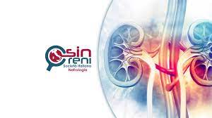 Malattia renale cronica, i nefrologi Sin: “Seguire la dieta amica dei reni anche a Natale”