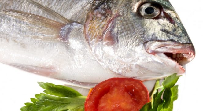 Maccheroncini con orata, rape, finocchio e pomodoro
